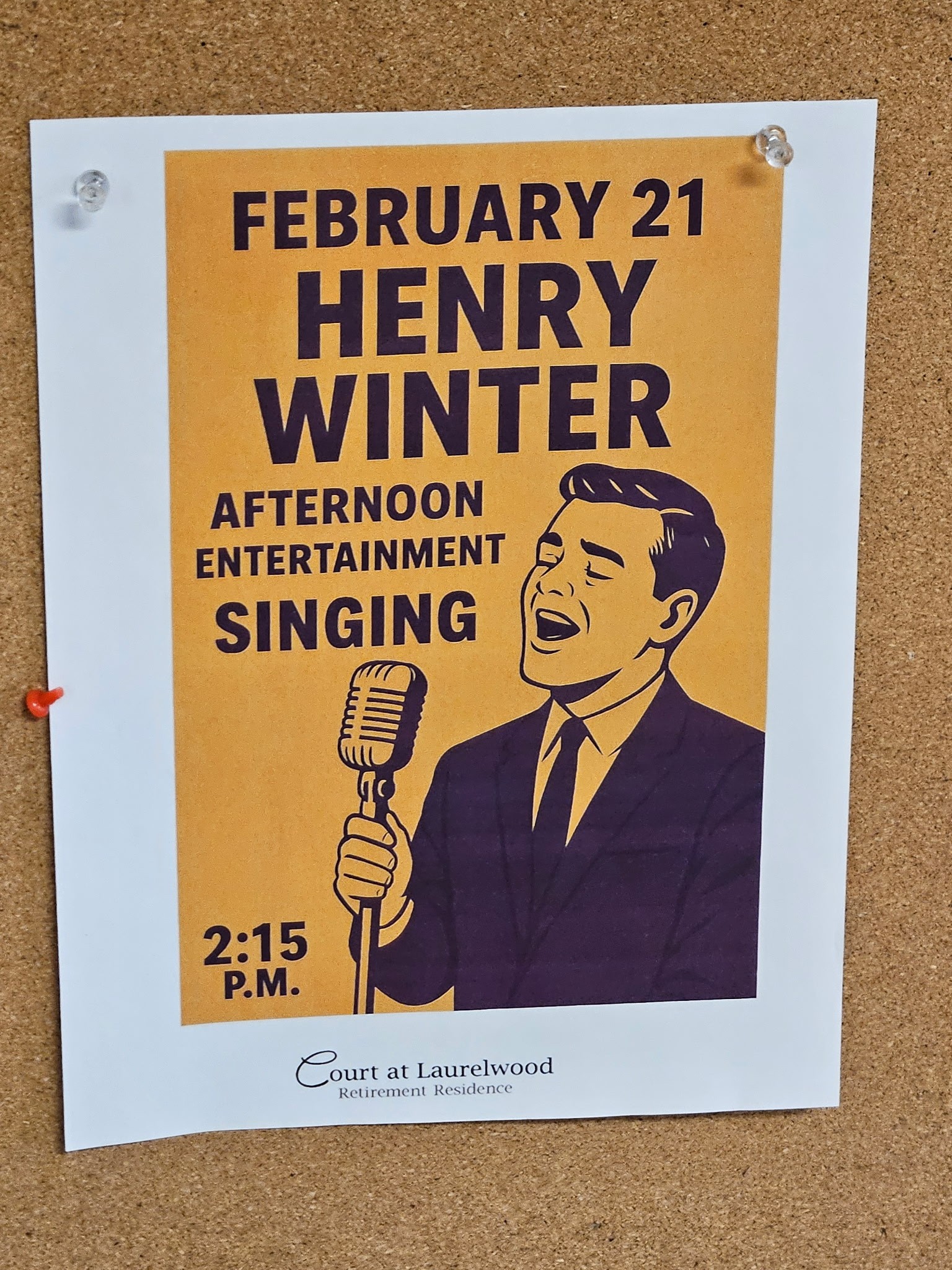 Henry Winter Music promotional poster - acoustic music storyteller for retirement homes